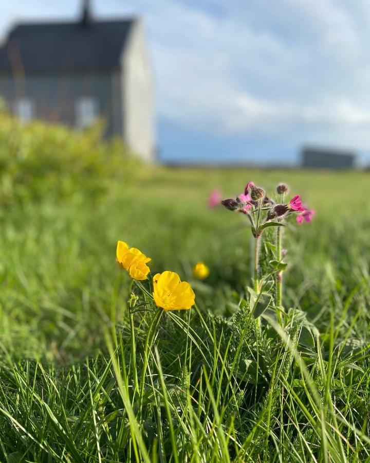 Melar Guesthouse Kópasker Zewnętrze zdjęcie